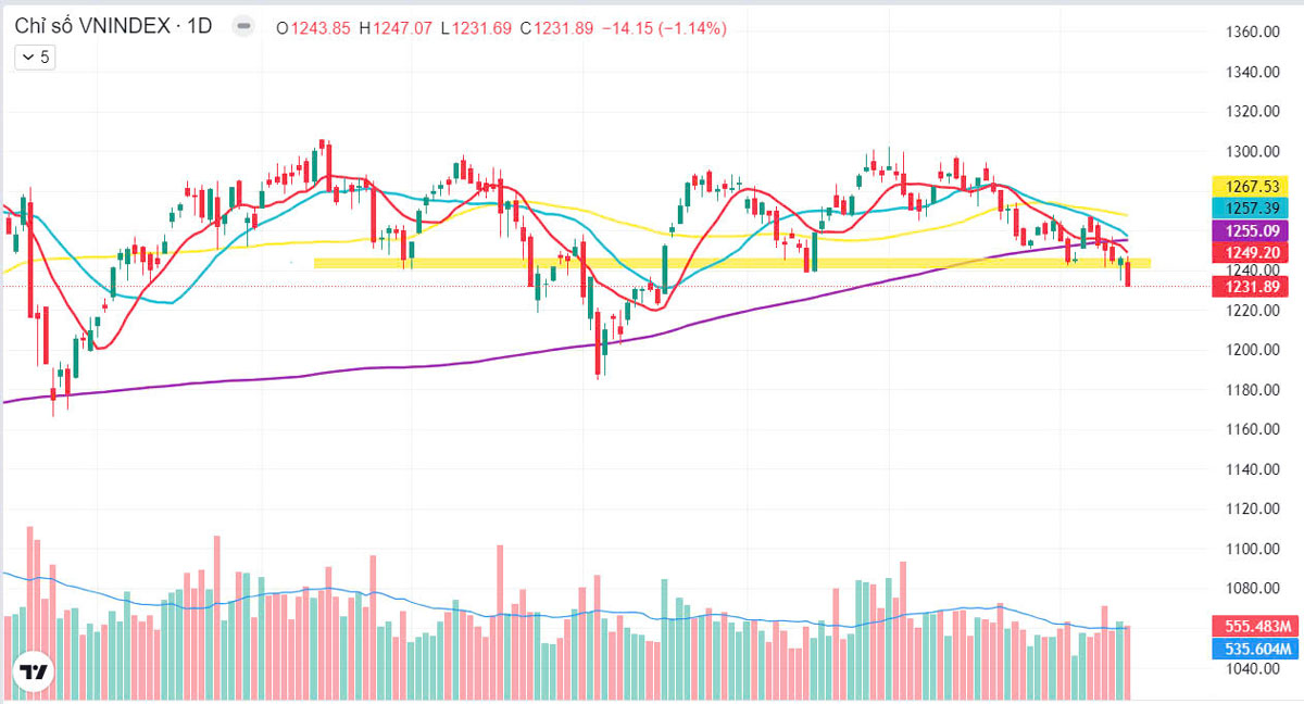 Thị trường chứng khoán ngày 15-11-2024