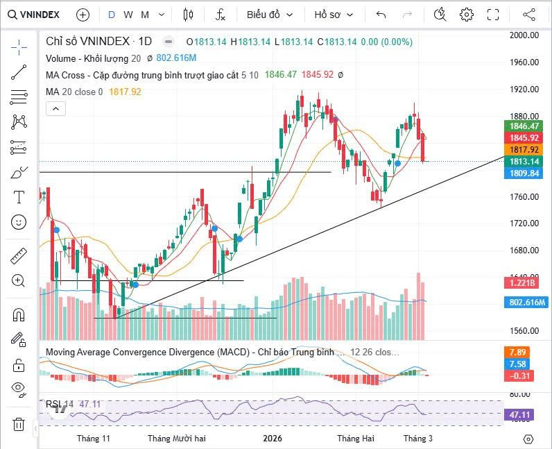 Bản tin chứng khoán 04/03: VN-Index lùi về 1.813 điểm