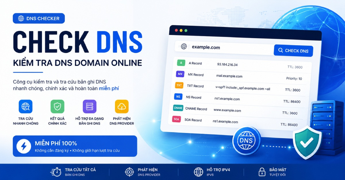 Check DNS