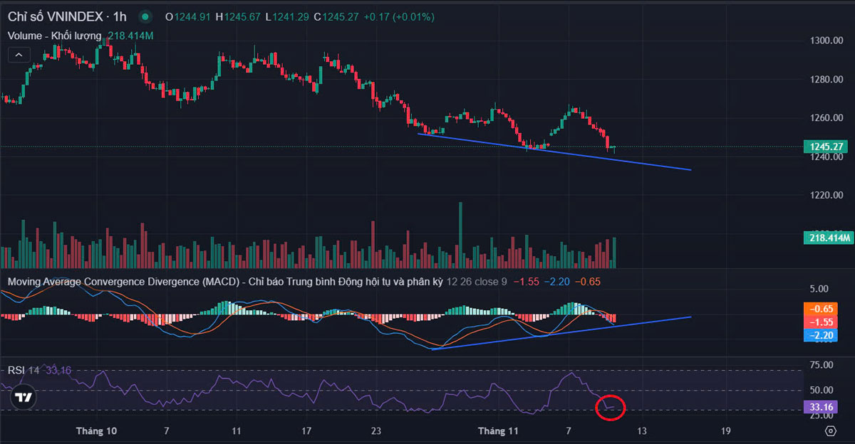 Thị trường chứng khoán ngày 12-11-2024