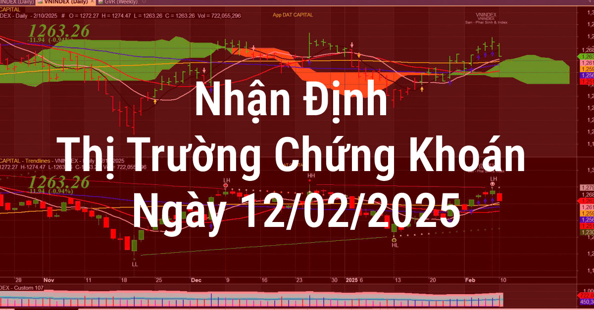 Nhận Định Thị Trường Chứng Khoán Ngày 12/02/2025 – Cơ Hội Đầu Tư Giữa Rung Lắc