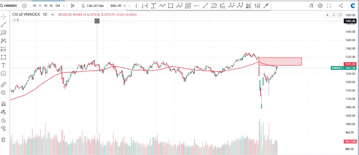 Thị Trường Chứng Khoán Ngày 12/05/2025, Top 5 Cổ Phiếu Nên Đầu Tư Trong ngày 12/05/2025