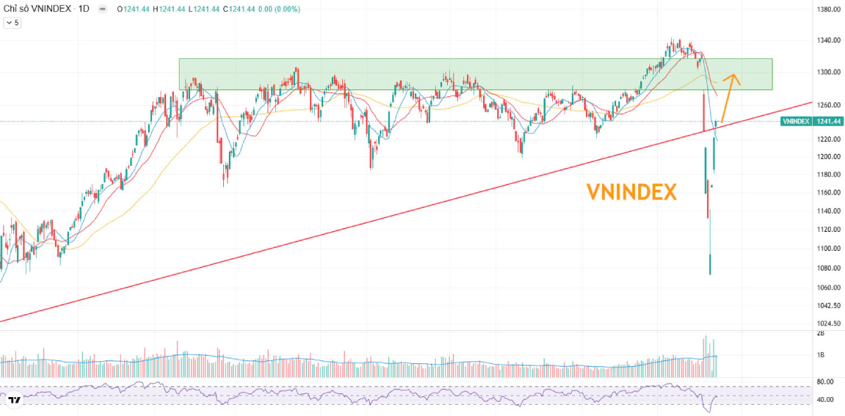 VN-Index phục hồi mạnh – Dòng tiền hướng tới nhóm cổ phiếu cơ bản và đầu tư công